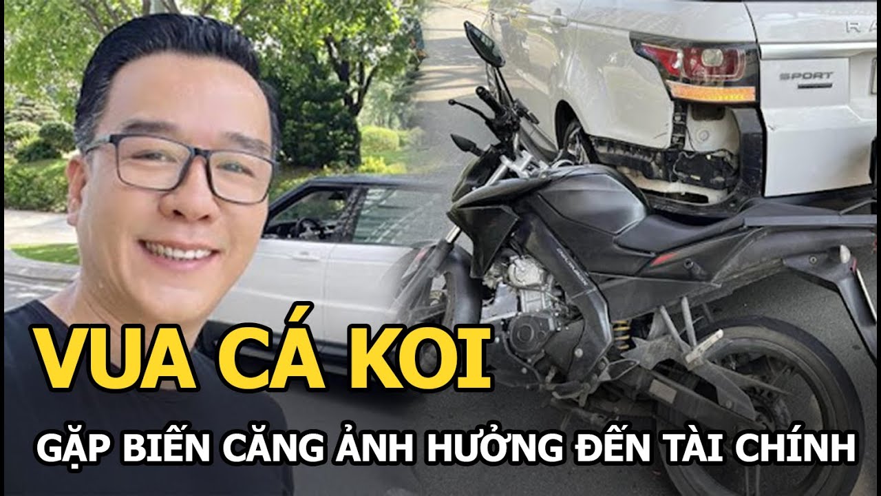 Vua cá Koi gặp biến căng ảnh hưởng đến tài chính, bất ngờ được CĐM khen ngợi vì lý do này!