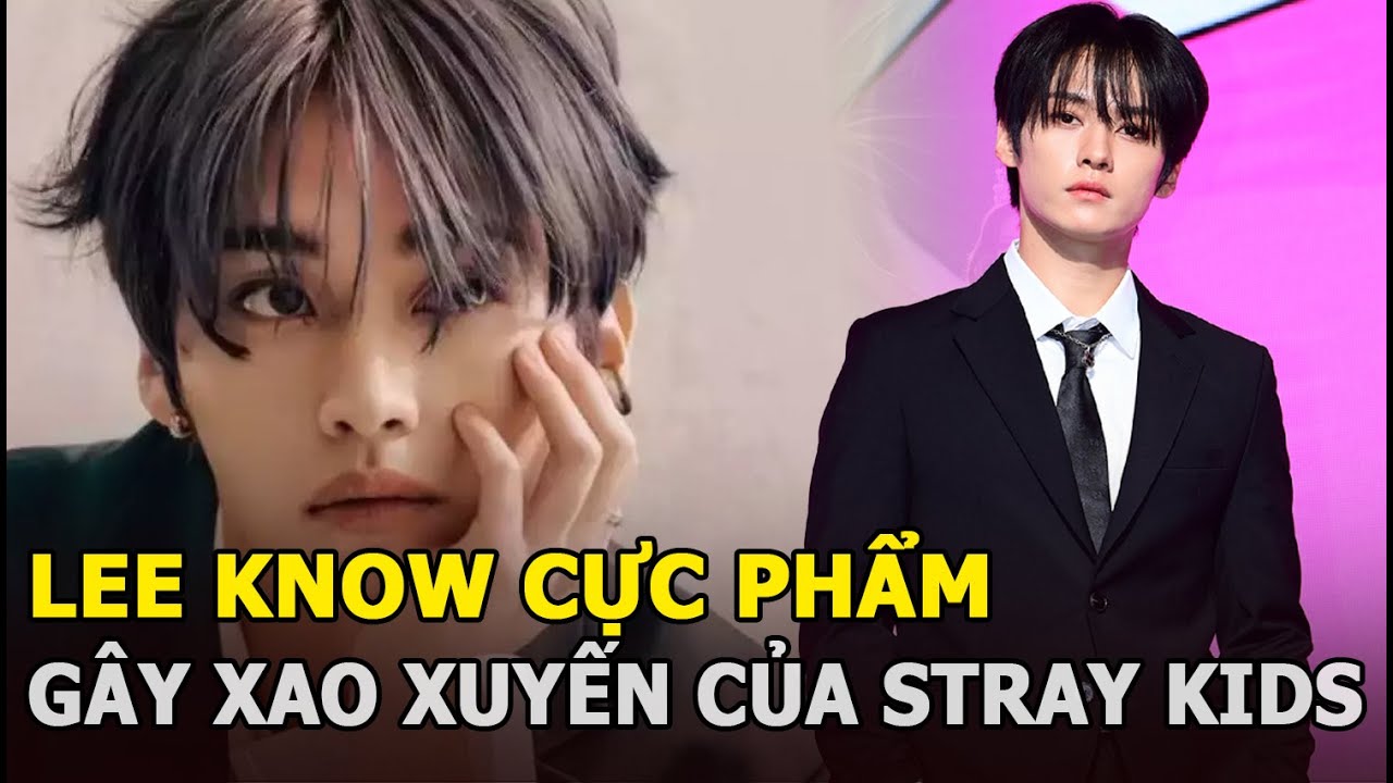 Lee Know cực phẩm gây xao xuyến của Stray Kids