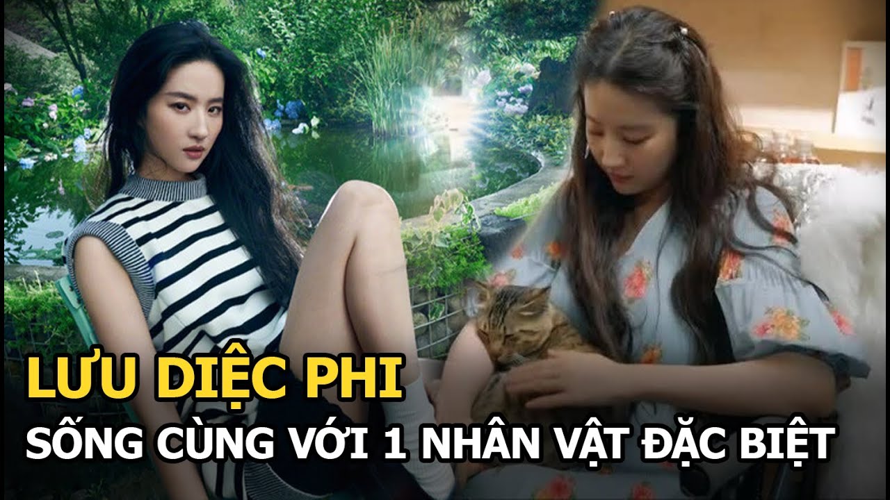 Lưu Diệc Phi đang sống cùng với 1 nhân vật đặc biệt, biết được danh tính ai cũng ngỡ ngàng?