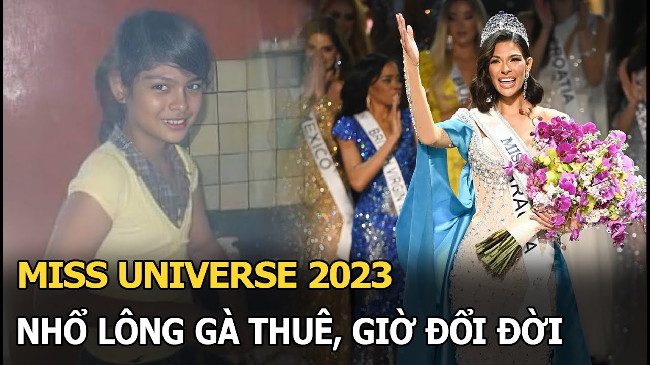 Miss Universe 2023: Nhổ lông gà thuê, giờ đổi đời