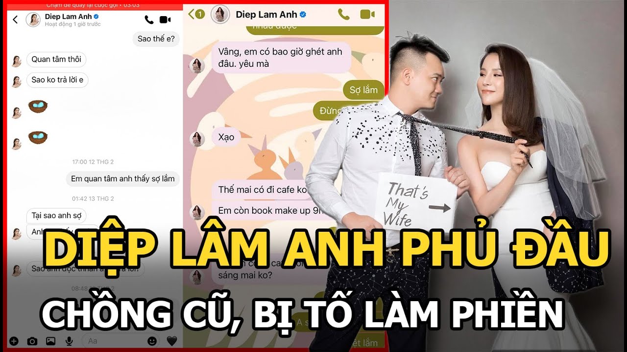 Diệp Lâm Anh phủ đầu chồng cũ, bị tố làm phiền