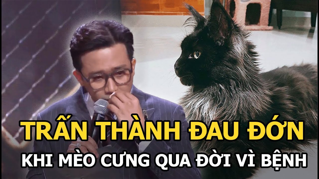 Trấn Thành đau đớn thông báo thú cưng qua đời, nói 1 câu cực xót xa: Hết đau rồi