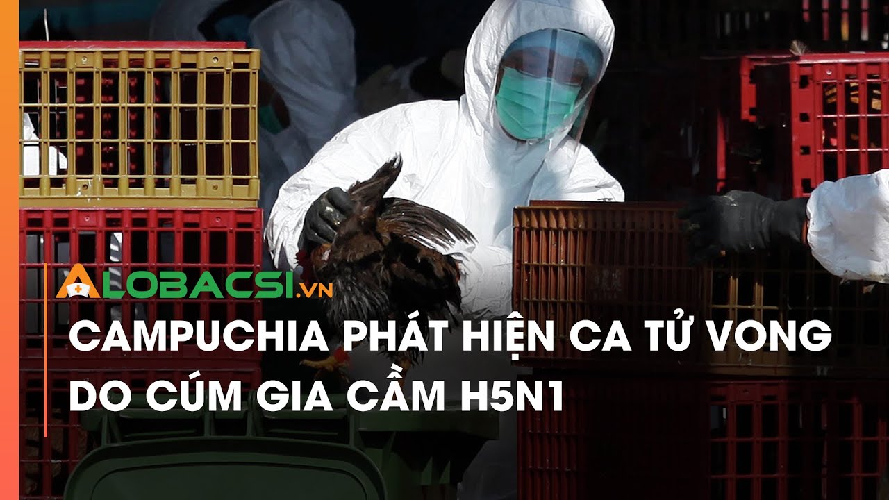 Campuchia phát hiện ca tử vong do cúm gia cầm H5N1