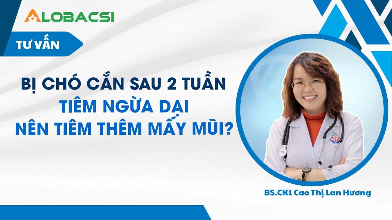 Bị chó cắn sau 2 tuần tiêm ngừa dại, nên tiêm thêm mấy mũi?