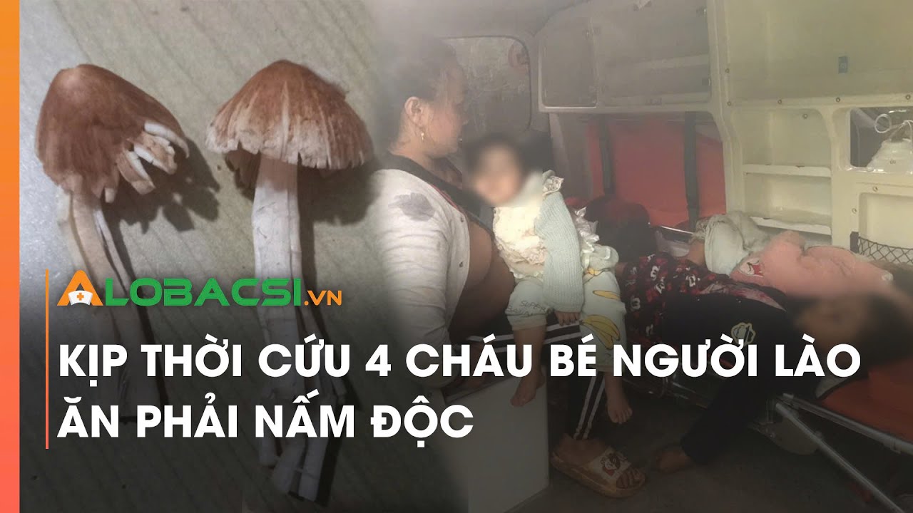 Kịp thời cứu 4 cháu bé người Lào ăn phải nấm độc