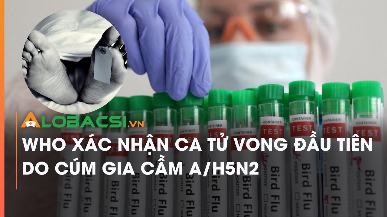 WHO xác nhận ca tử vong đầu tiên do cúm gia cầm A/H5N2