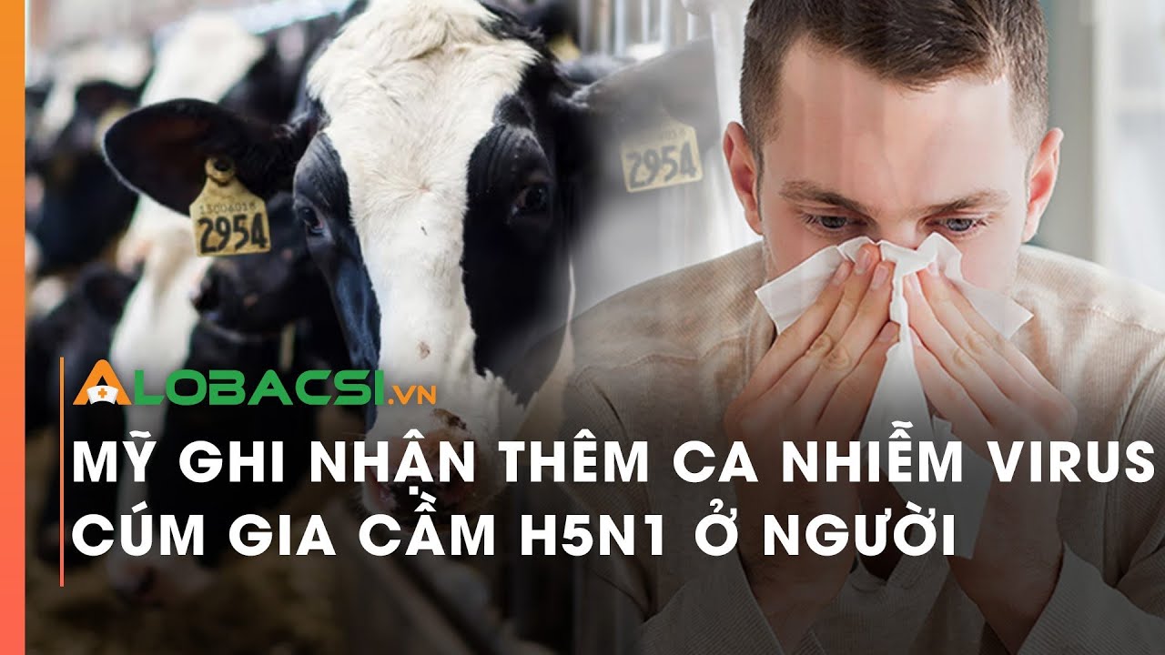 Mỹ ghi nhận thêm ca nhiễm virus cúm gia cầm H5N1 ở người