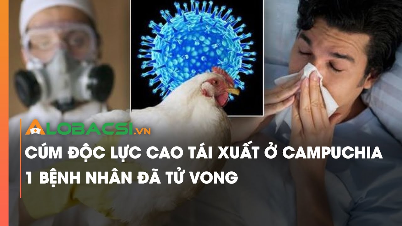 Cúm độc lực cao tái xuất ở Campuchia, 1 bệnh nhân đã t.ử v.o.ng