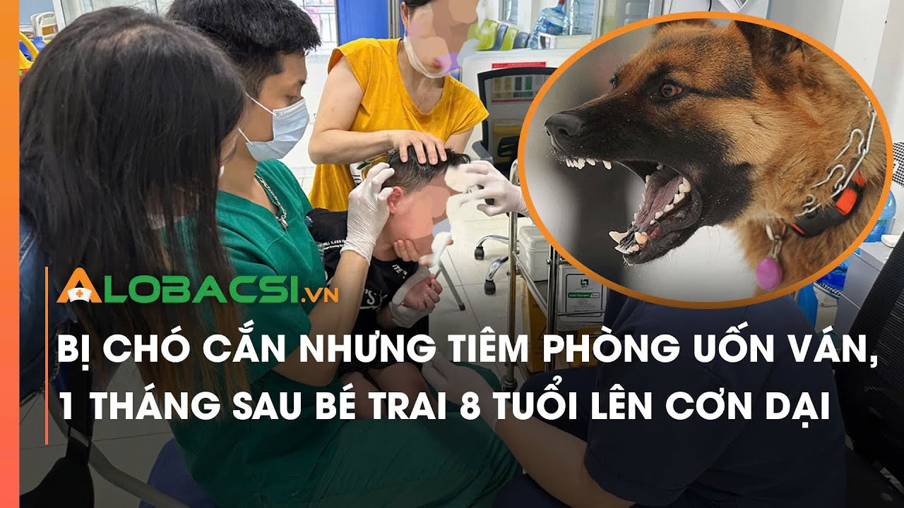 Bị chó cắn nhưng chỉ tiêm phòng uốn ván, 1 tháng sau bé trai 8 tuổi lên cơn dại