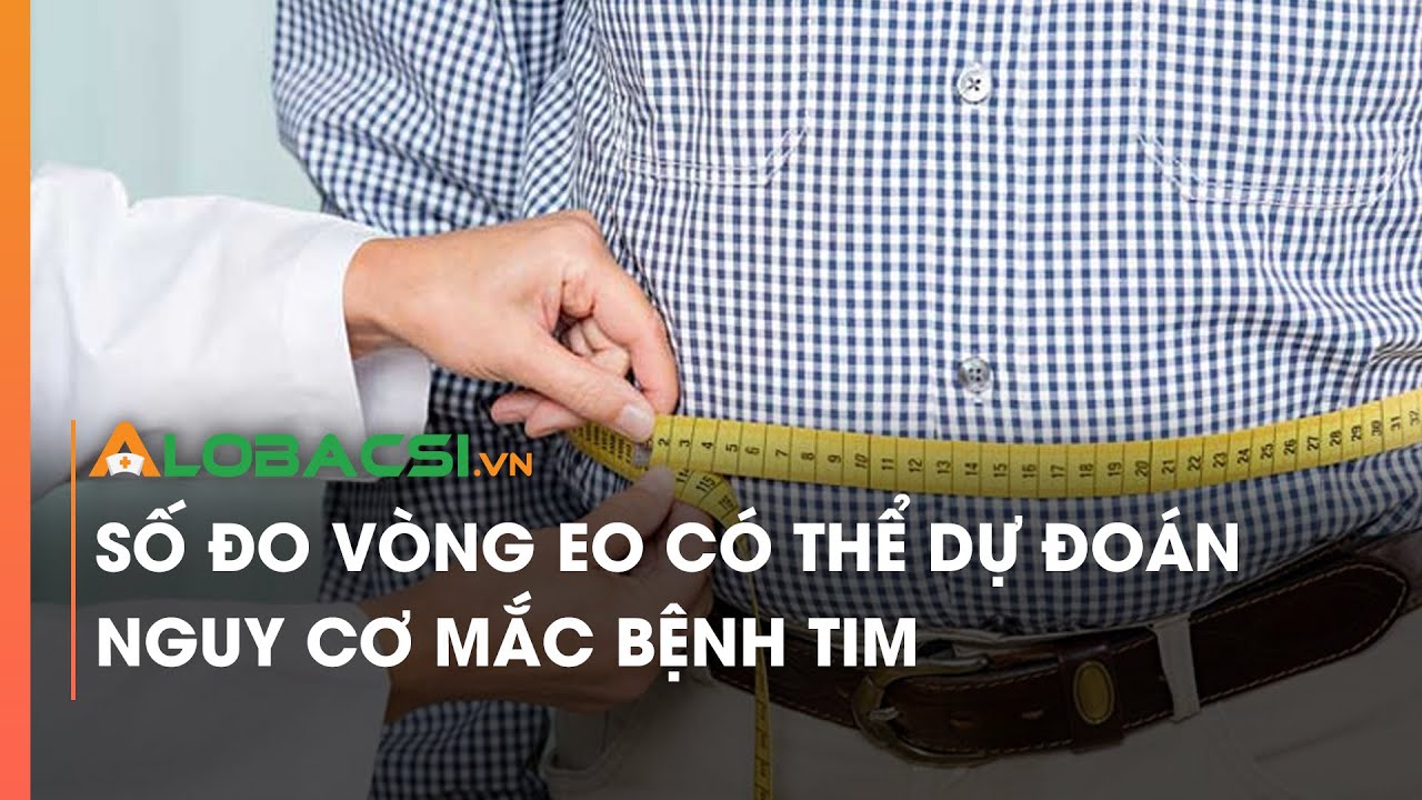 Số đo vòng eo có thể dự đoán nguy cơ mắc bệnh tim