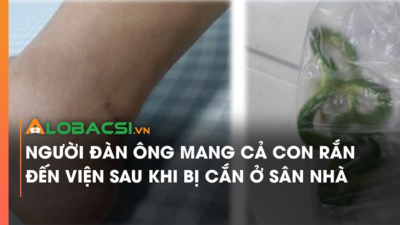 Người đàn ông mang cả con rắn đến viện sau khi bị cắn ở sân nhà