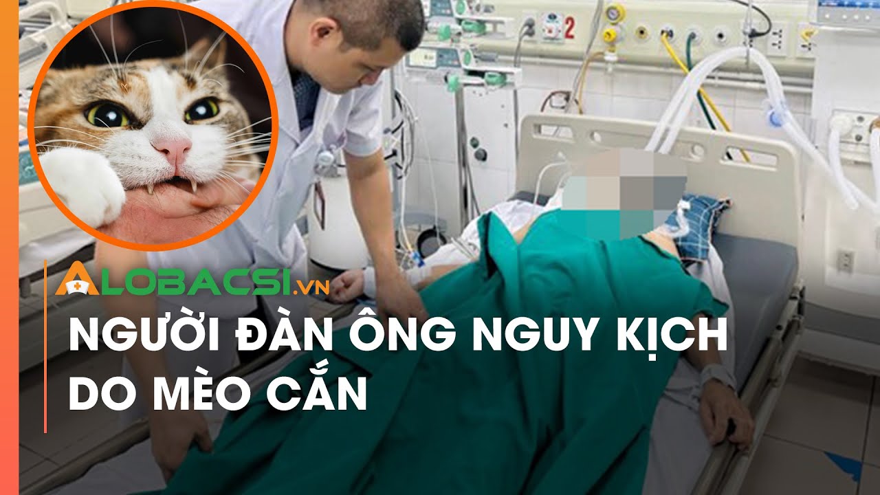 Người đàn ông nguy kịch do mèo cắn