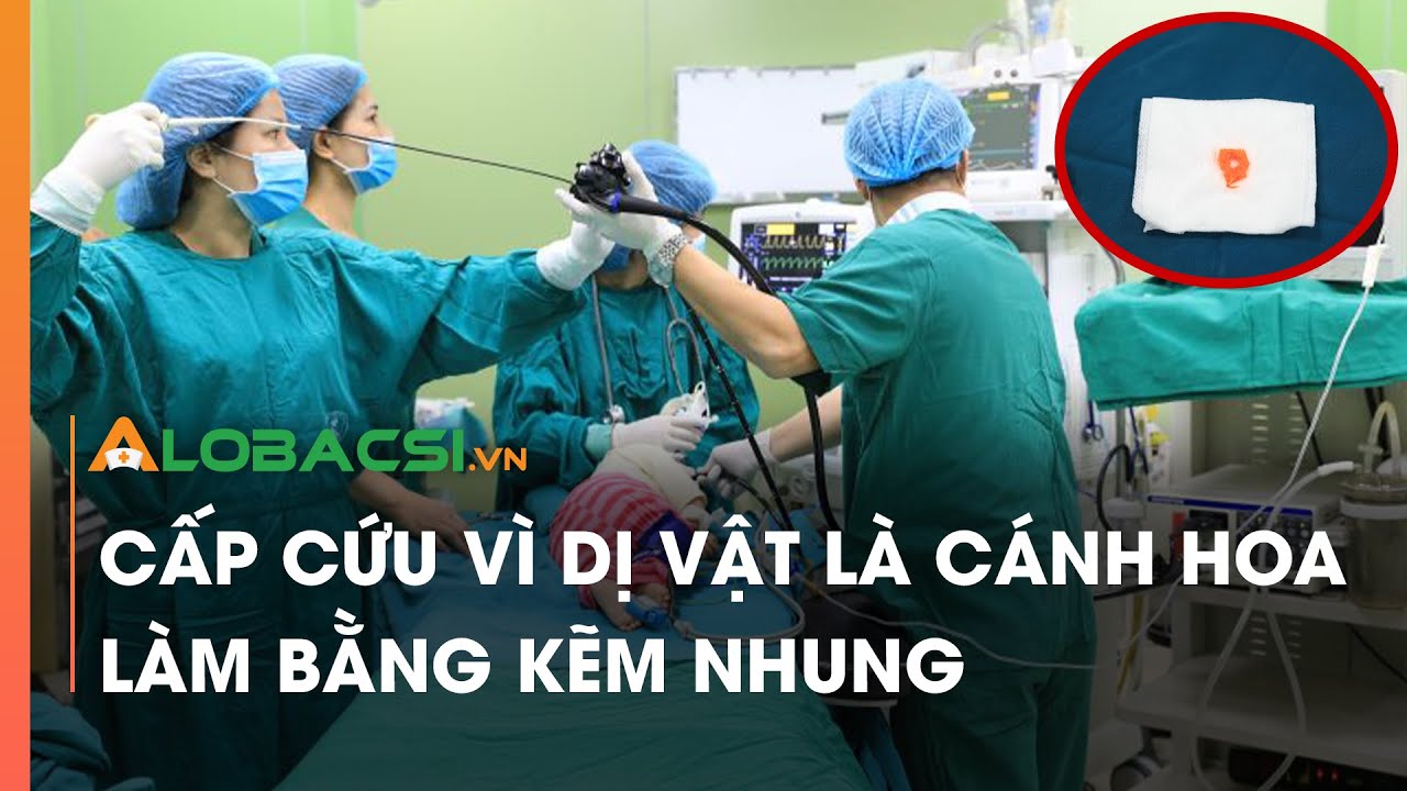 Cấp cứu vì dị vật là cánh hoa làm bằng kẽm nhung