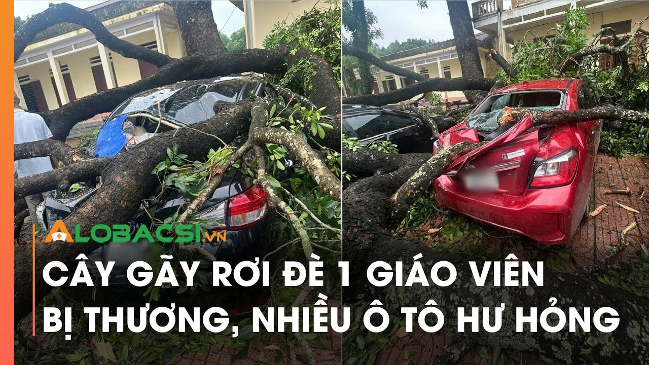 Cây gãy rơi đè 1 giáo viên bị thương, nhiều ô tô hư hỏng nặng