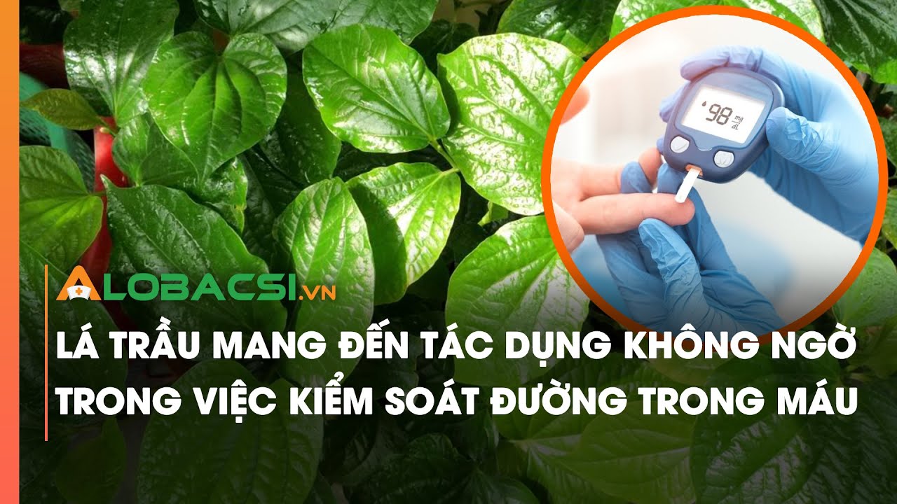 Lá trầu mang đến tác dụng không ngờ trong việc kiểm soát đường trong máu