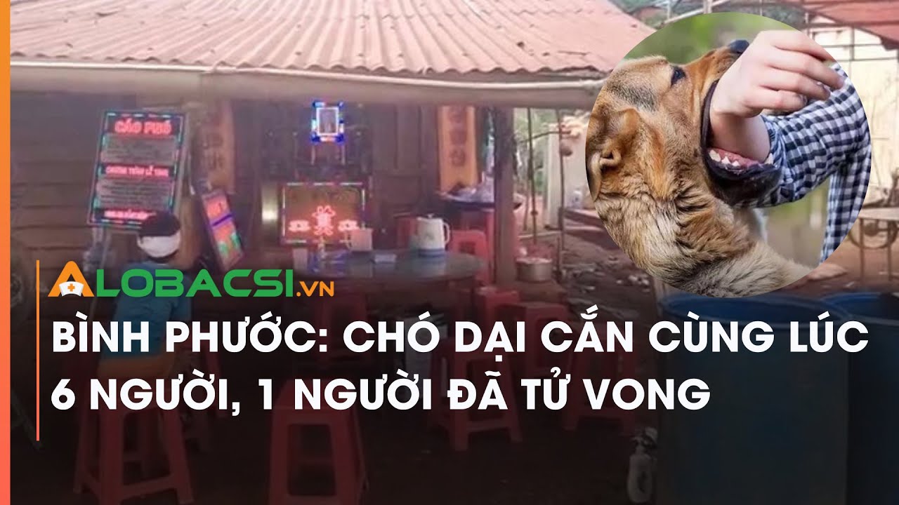 Bình Phước: Chó dại cắn cùng lúc 6 người, 1 người đã tử vong