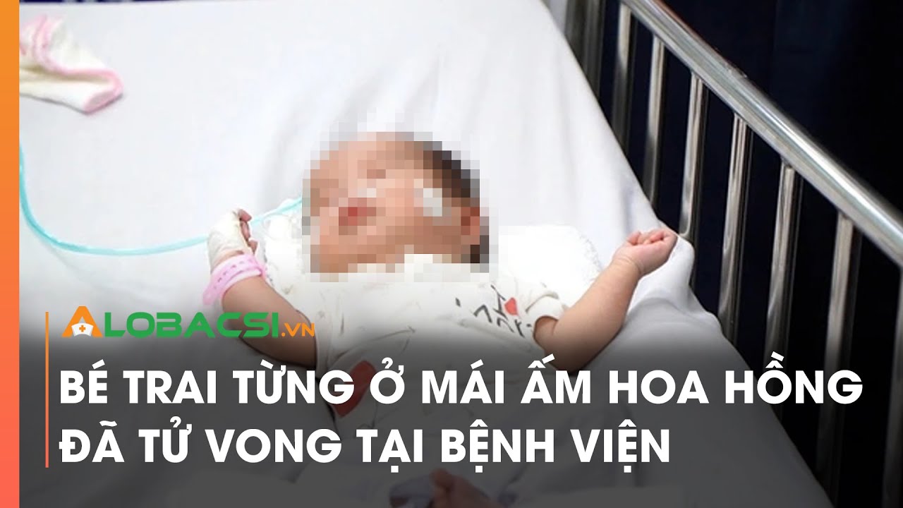 Bé trai từng ở Mái ấm Hoa Hồng đã tử vong tại bệnh viện | AloBacsi