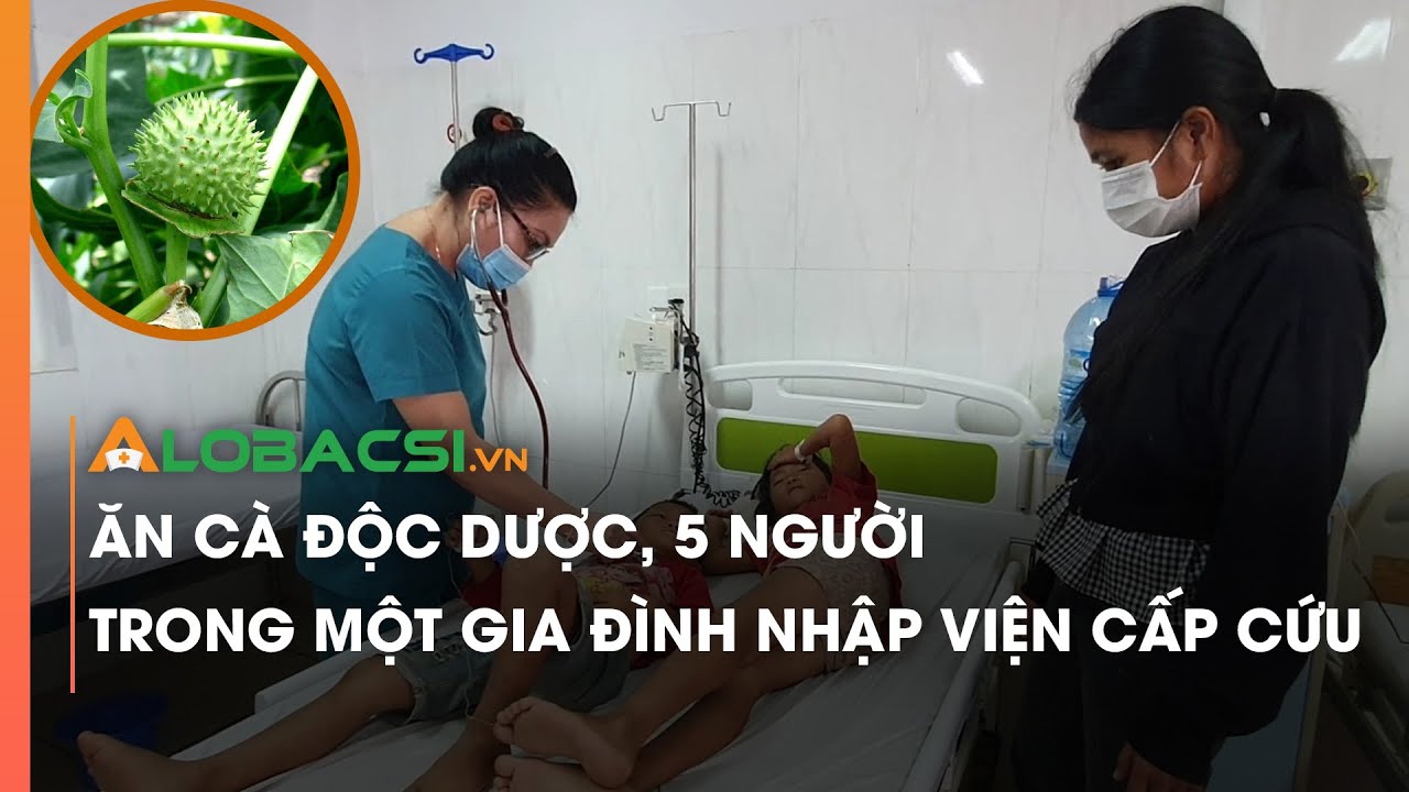 Ăn cà độc dược, 5 người trong một gia đình nhập viện cấp cứu