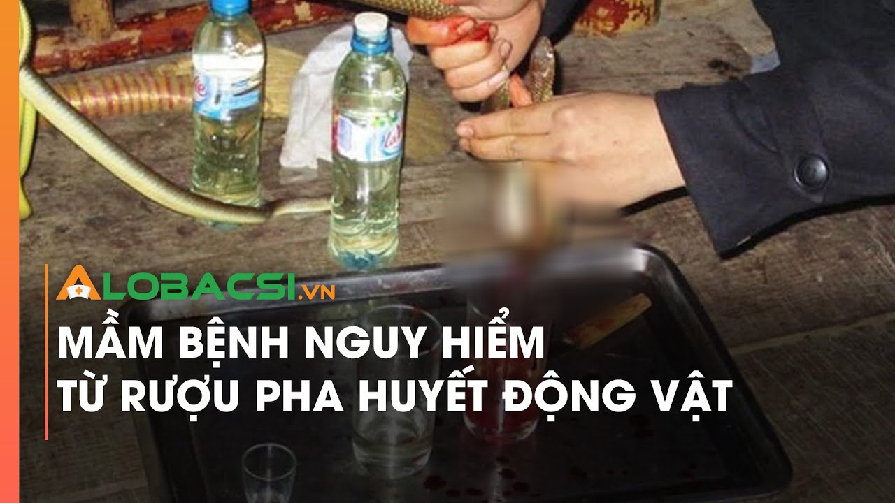 Mầm bệnh nguy hiểm từ rượu pha huyết động vật