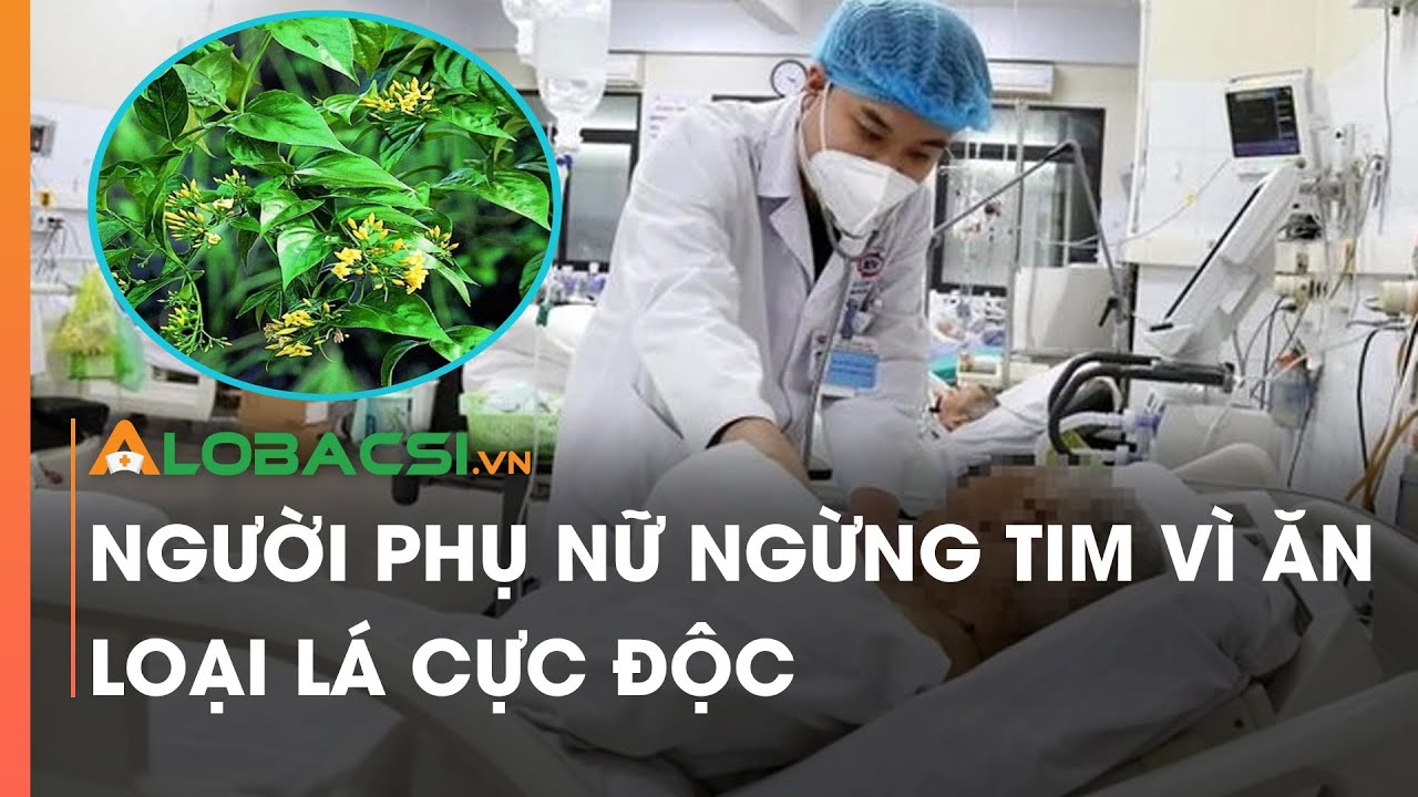 Người phụ nữ ngừng tim vì ăn loại lá cực độc