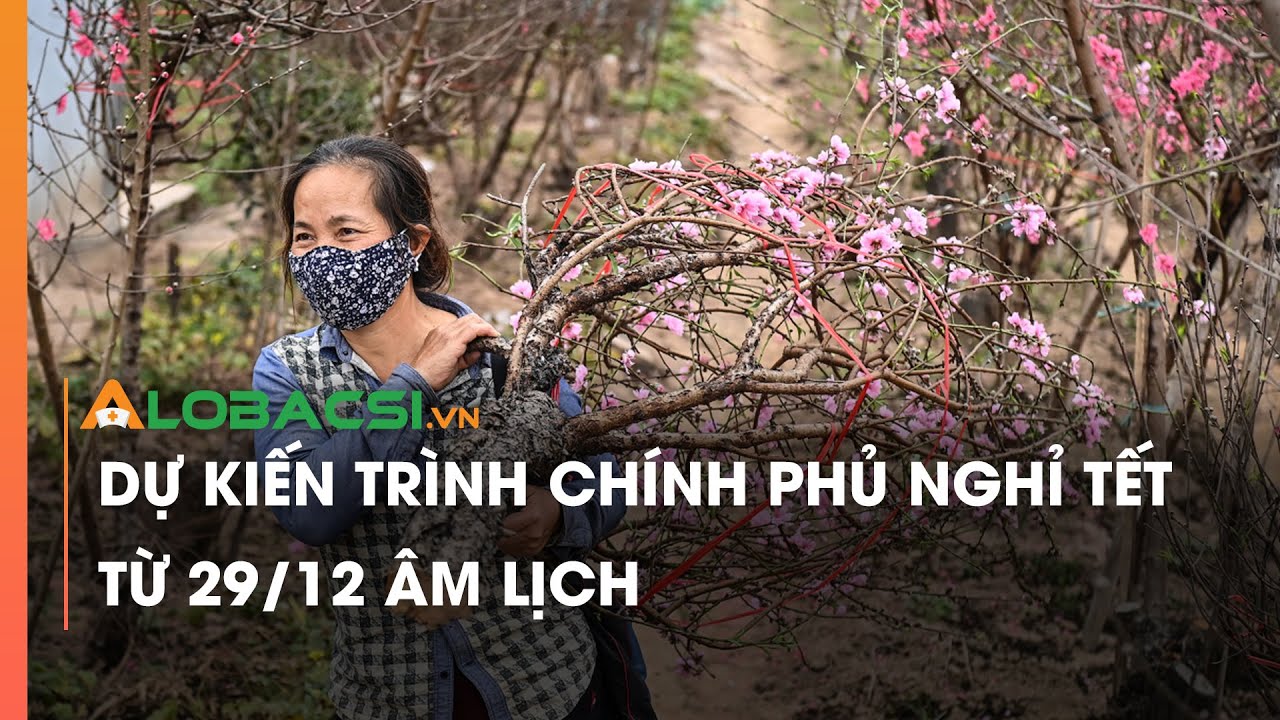 Dự kiến trình Chính phủ nghỉ Tết từ 29/12 Âm lịch