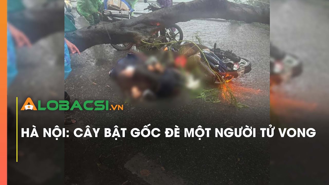 Hà Nội: Cây bật gốc đè một người tử vong