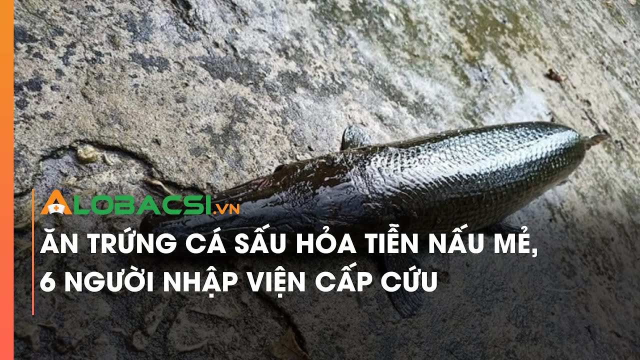 Ăn trứng cá sấu hỏa tiễn nấu mẻ, 6 người nhập viện cấp cứu