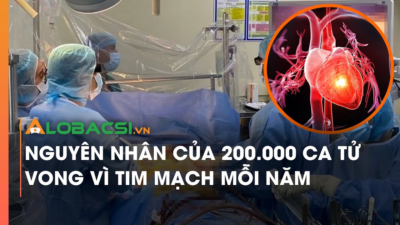 Nguyên nhân của 200 000 ca tử vong vì tim mạch mỗi năm