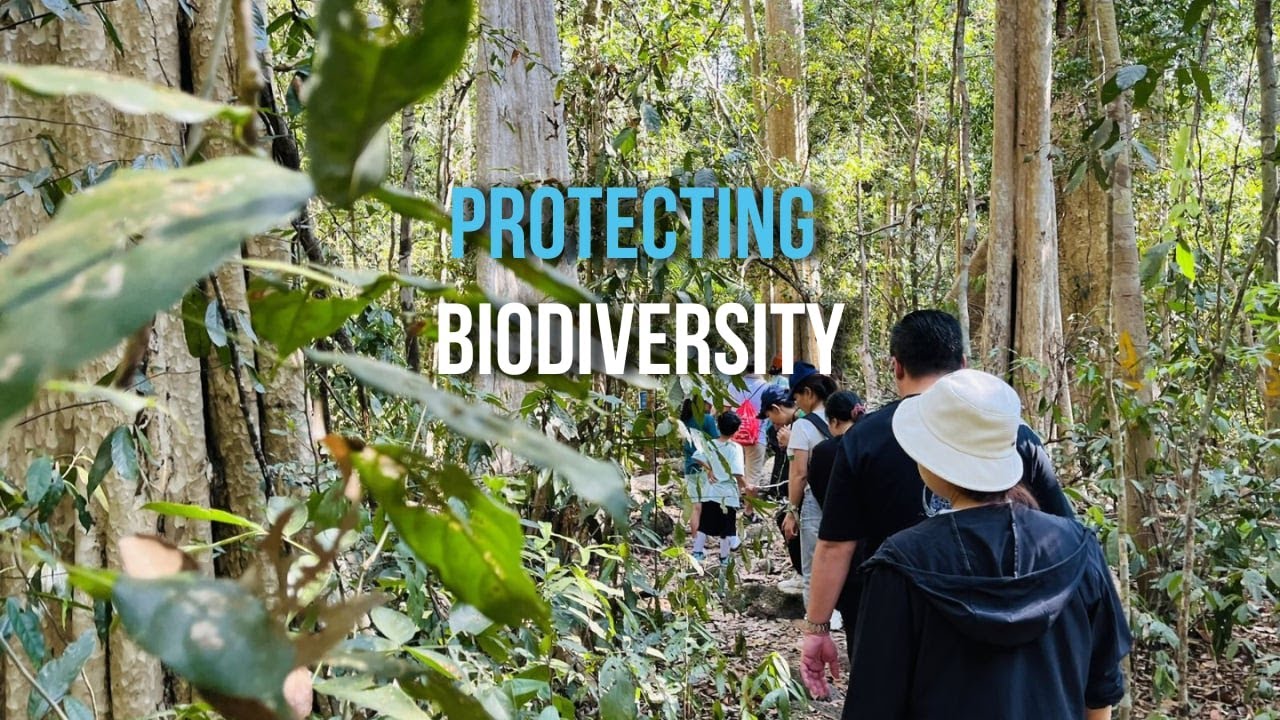 Protecting biodiversity | Vườn quốc gia - Cái nôi bảo tồn đa dạng sinh học