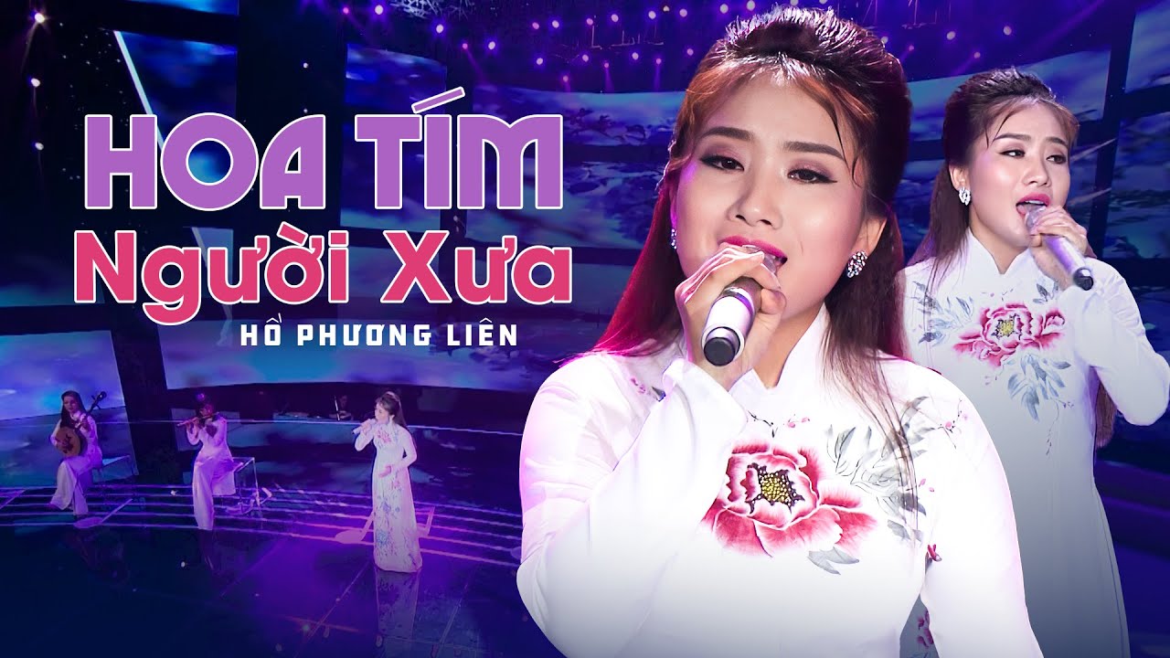 HOA TÍM NGƯỜI XƯA - HỒ PHƯƠNG LIÊN | Rồi chiều nay lá khô rơi đầy có người nhìn buồn lây