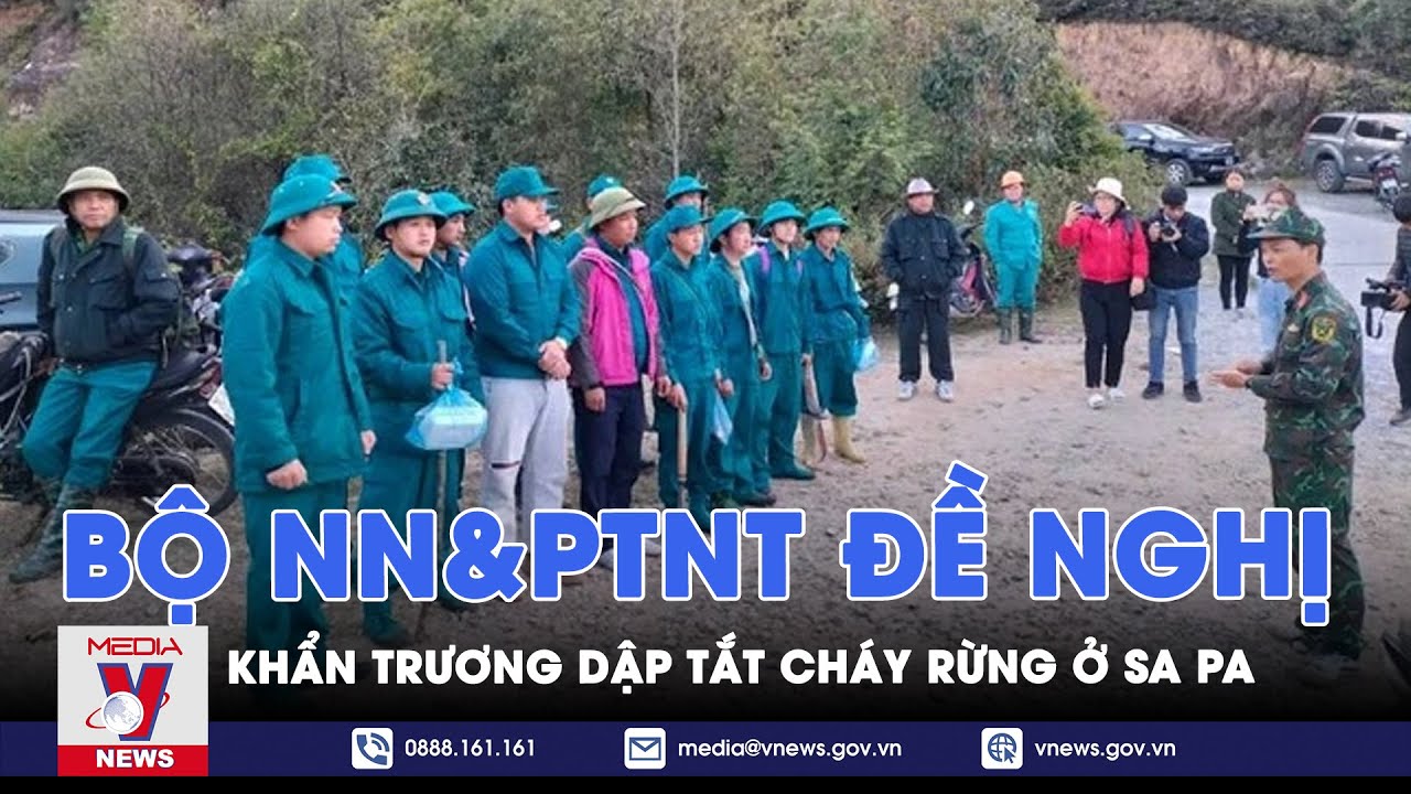 Bộ NN&PTNT đề nghị khẩn trương dập tắt cháy rừng ở Sa Pa - VNews