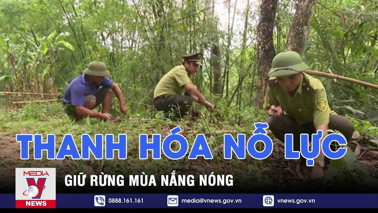 Thanh Hóa nỗ lực giữ rừng mùa nắng nóng - VNEWS