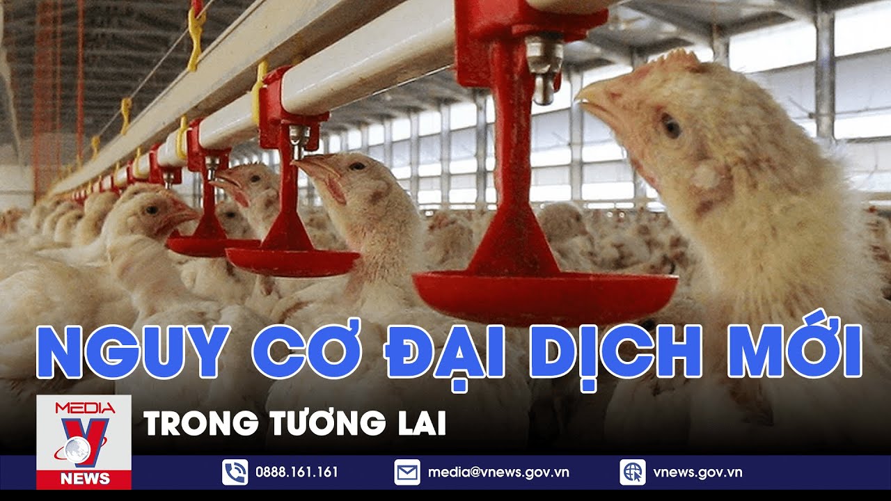 Thế giới đối mặt nguy cơ đại dịch mới - Tin Thế giới - VNews