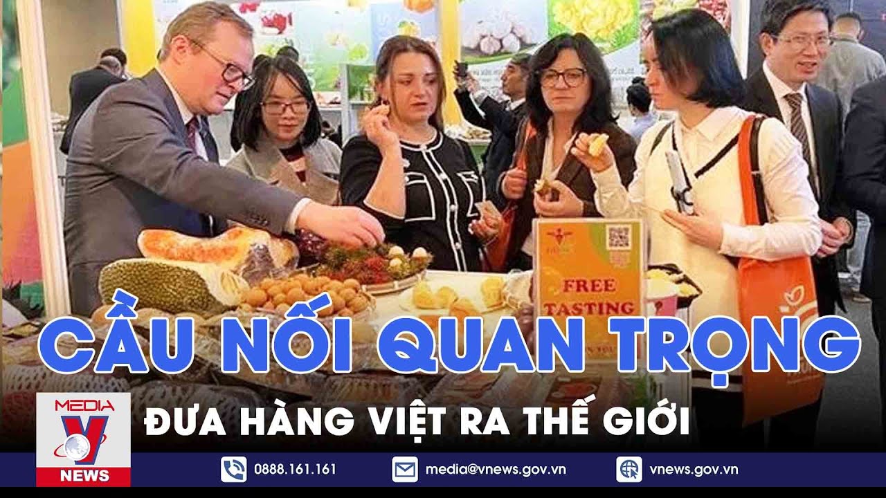 Kiều bào ở nước ngoài là cầu nối đưa hàng Việt ra thế giới; giá xăng giảm gần 900 đồng/lít - VNews