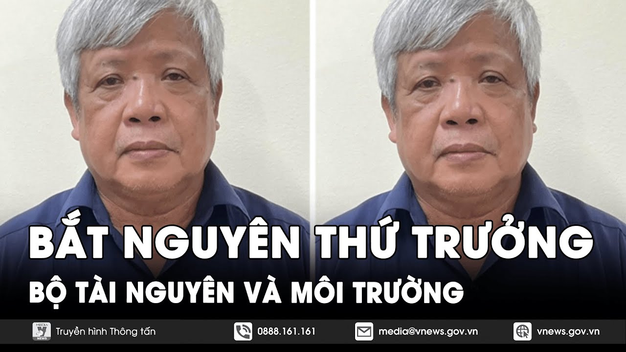 Khởi tố, bắt tạm giam nguyên Thứ trưởng Bộ Tài nguyên và Môi trường Nguyễn Linh Ngọc - VNews