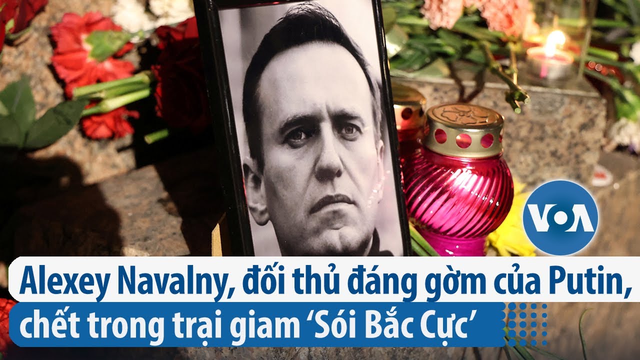 Alexey Navalny, đối thủ đáng gờm của Putin, chết trong trại giam ‘Sói Bắc Cực’ | VOA Tiếng Việt