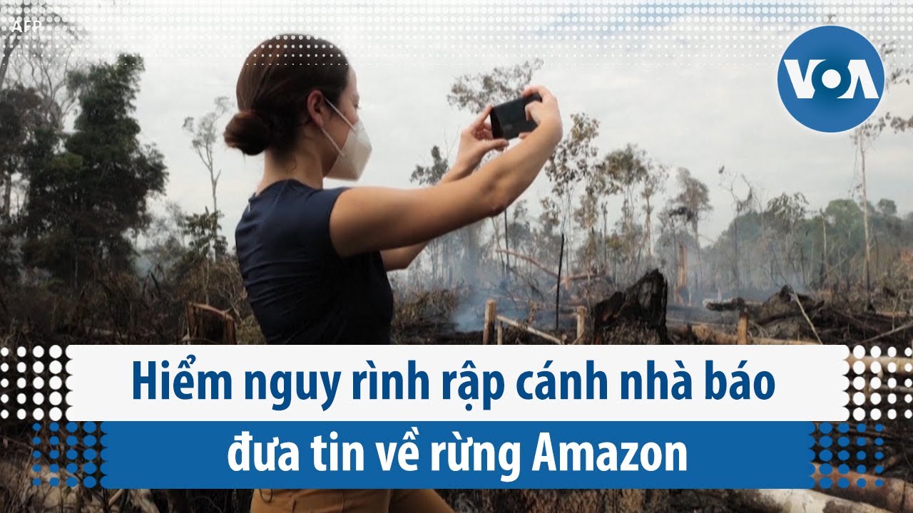 Hiểm nguy rình rập cánh nhà báo đưa tin về rừng Amazon | VOA Tiếng Việt