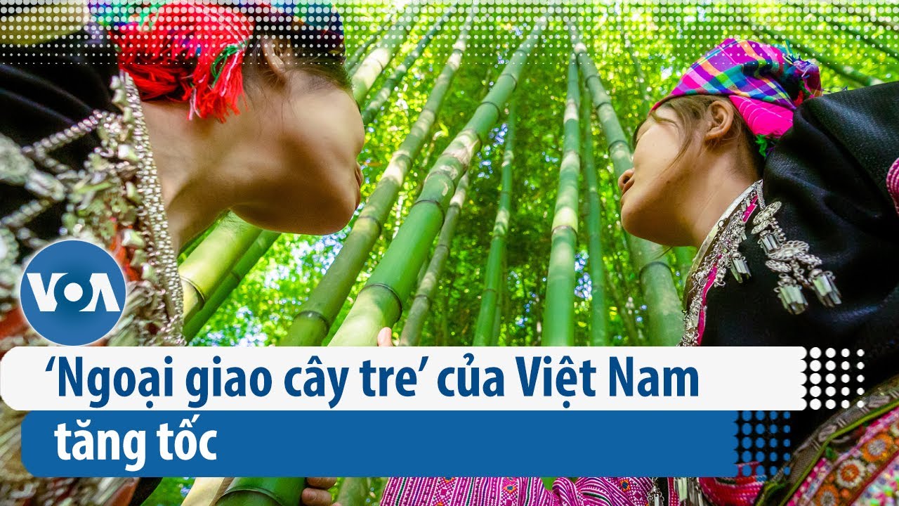 ‘Ngoại giao cây tre’ của Việt Nam tăng tốc | VOA Tiếng Việt