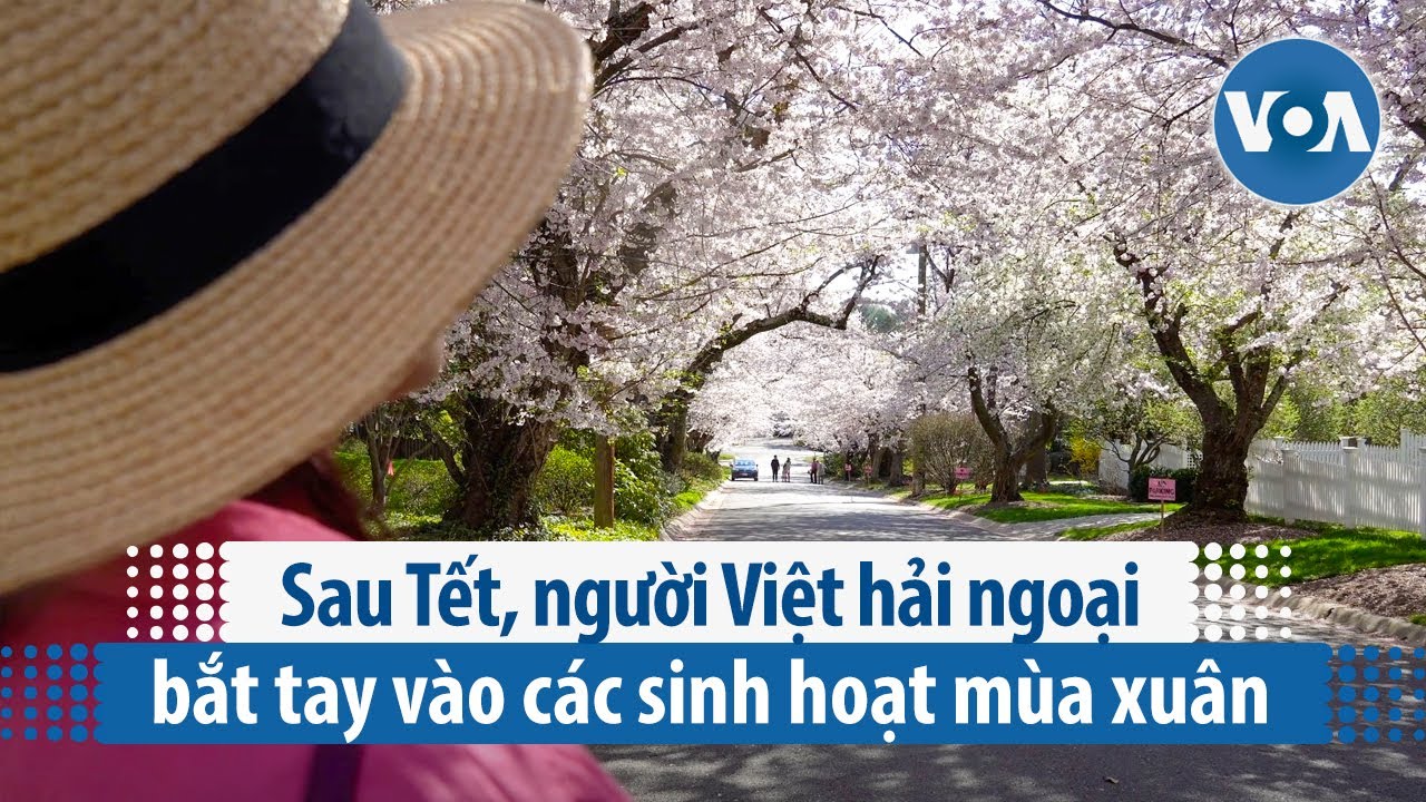 Sau Tết, người Việt hải ngoại bắt tay vào các sinh hoạt mùa xuân | VOA Tiếng Việt