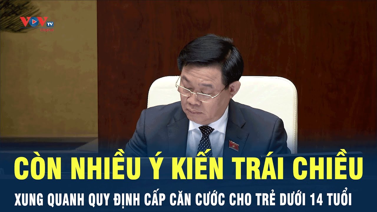 Còn nhiều ý kiến trái chiều xung quanh quy định cấp căn cước cho trẻ dưới 14 tuổi | VOV