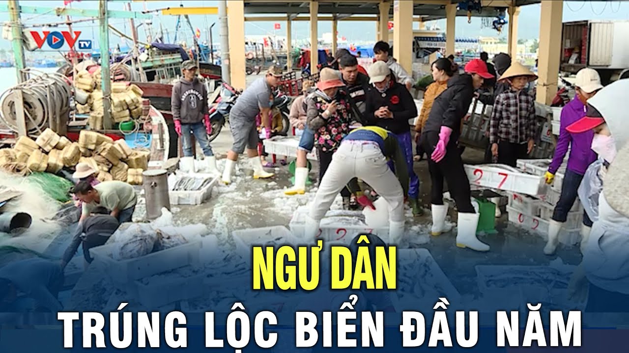 Ngư dân trúng lộc biển đầu năm