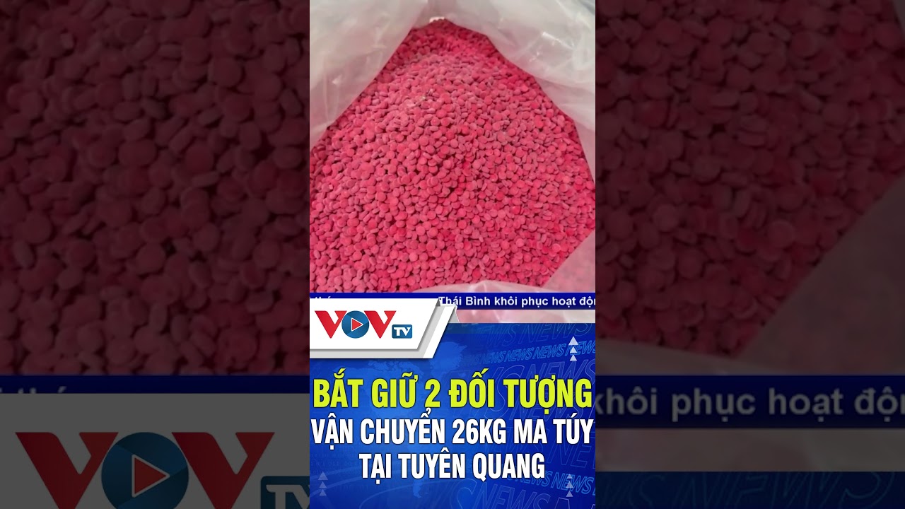 Bắt giữ 2 đối tượng vận chuyển 26kg ma túy tại Tuyên Quang | VOVTV