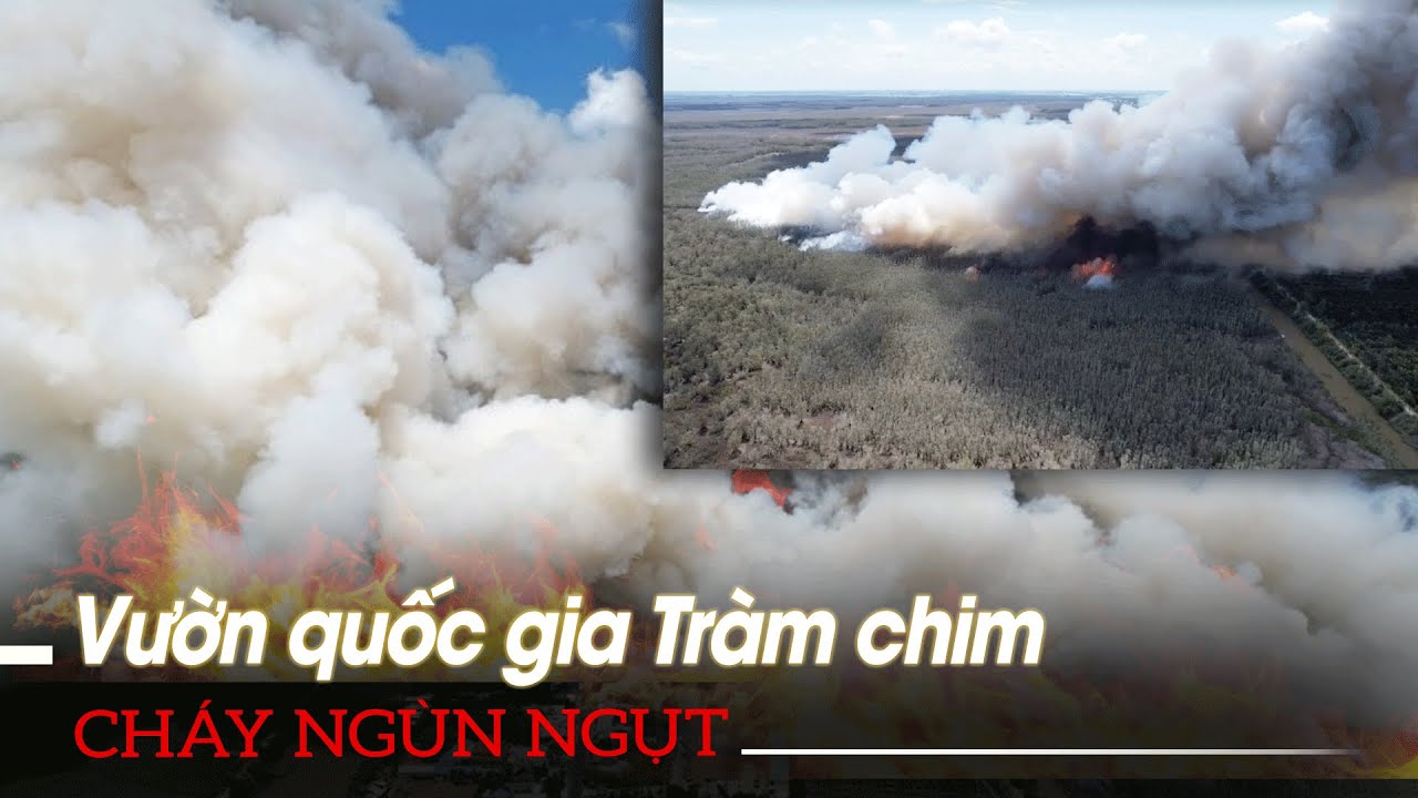 Vườn Quốc gia Tràm chim cháy ngùn ngụt