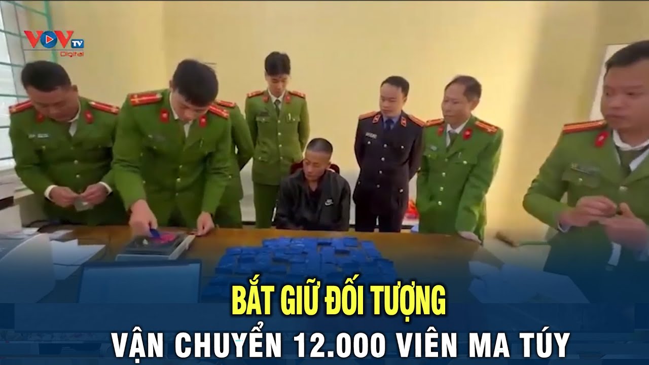 Điện Biên: Bắt giữ đối tượng vận chuyển 12.000 viên ma túy