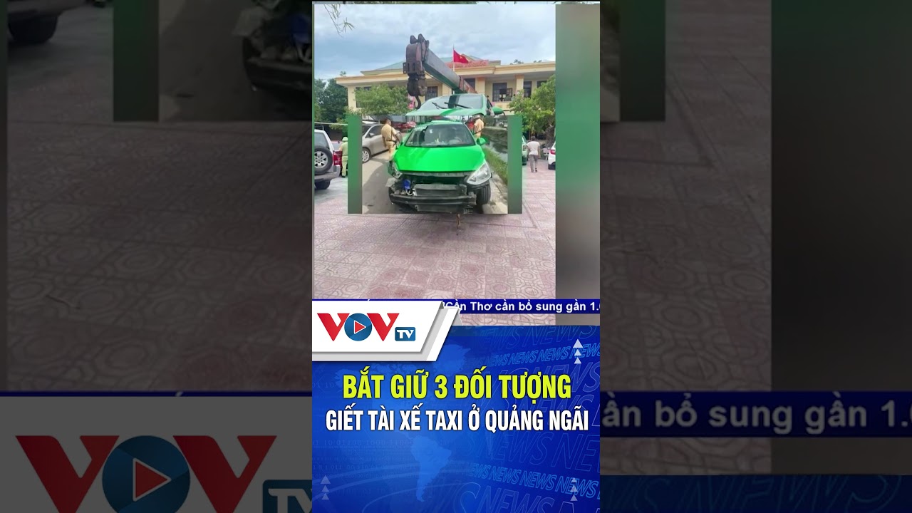 Bắt giữ 3 đối tượng giết tài xế taxi ở Quảng Ngãi | VOVTV