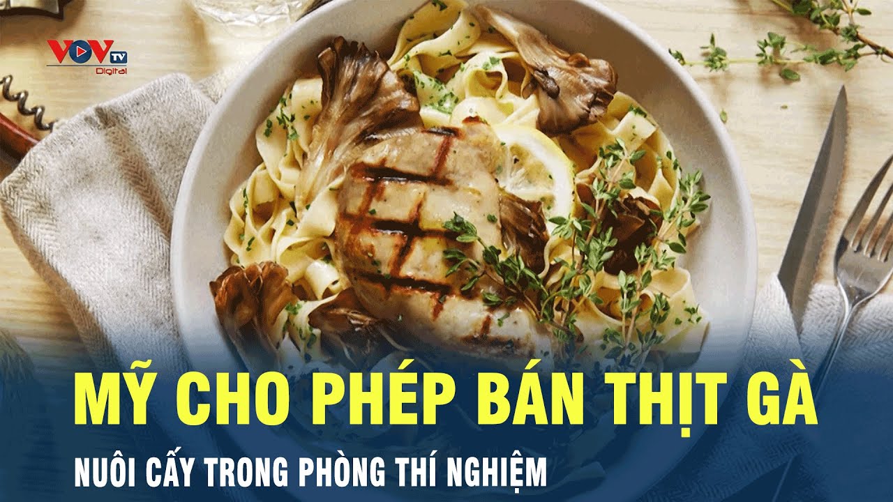 Mỹ cho phép bán thịt gà nuôi cấy trong phòng thì nghiệm | VOV