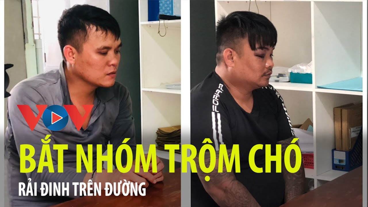 Bình Dương: Đã bắt nhóm trộm chó rải đinh trên đường