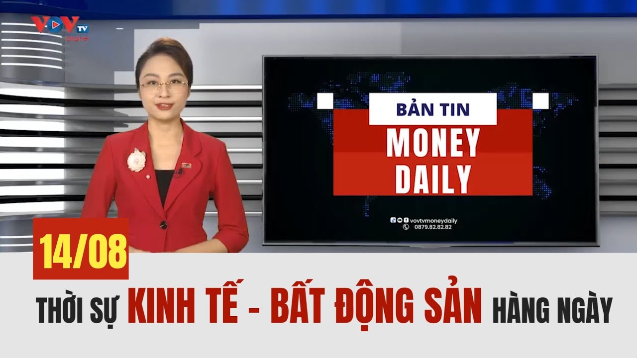 🔴 Bản tin Money Daily 14/8/2024