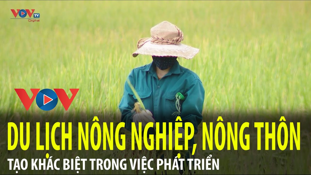 Tạo khác biệt trong phát triển du lịch nông nghiệp, nông thôn