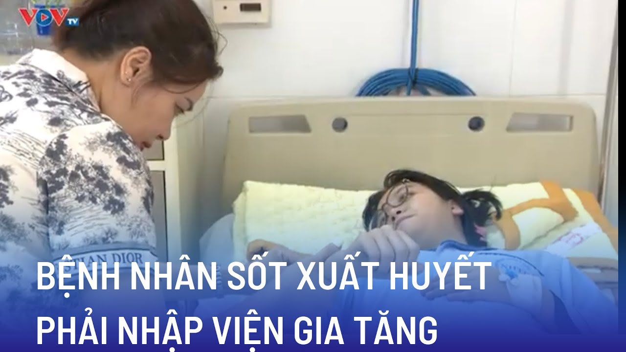 Bệnh nhân sốt xuất huyết nhập viện gia tăng | Bản tin Sức khỏe 24h